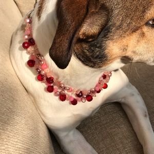 Necklace, not the pup
